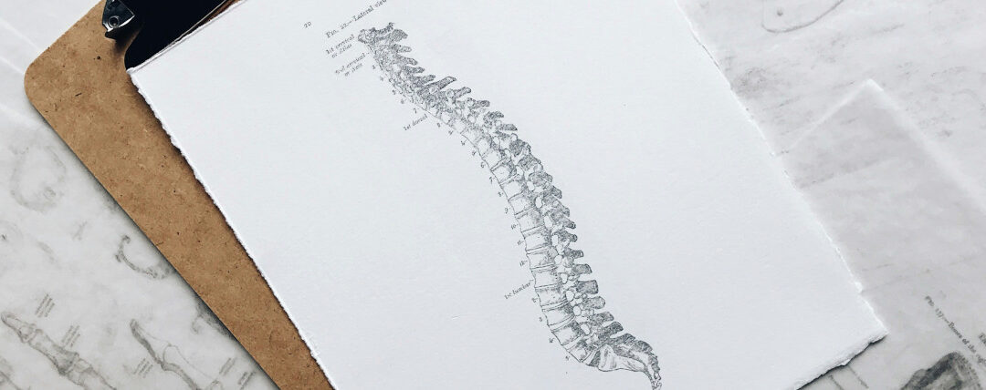 Disegno di colonna vertebrale su block note